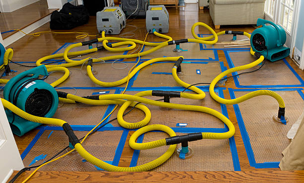 Professional Water Damage Restoration technician working in Forest Hills, TN